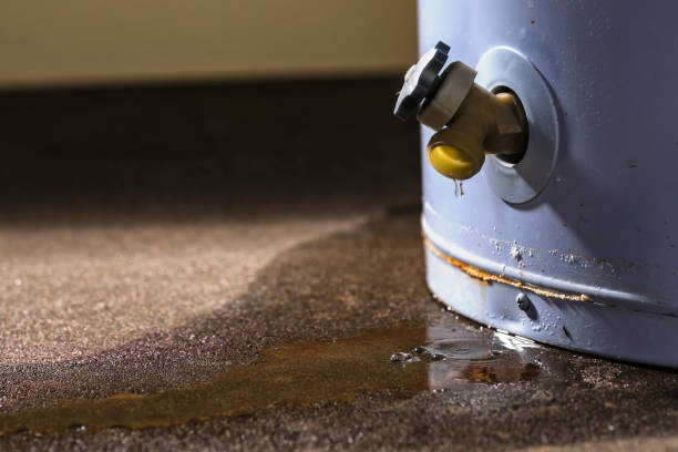 Best 24/7 water damage repair  in Alpine, CA