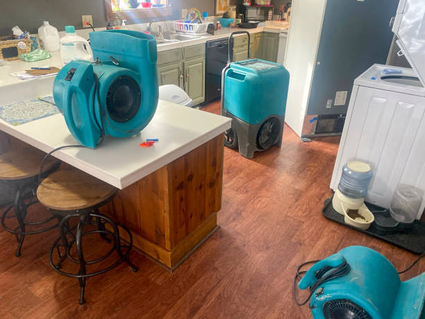 Best Carpet water damage restoration  in Alpine, CA