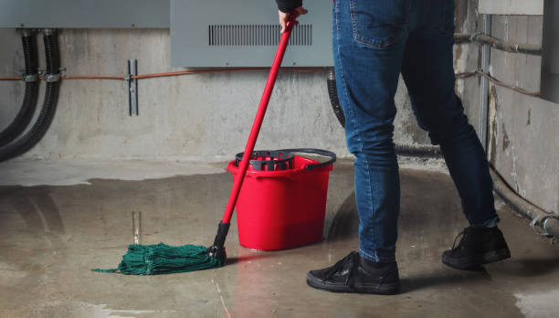 Best Water damage restoration near me  in Alpine, CA