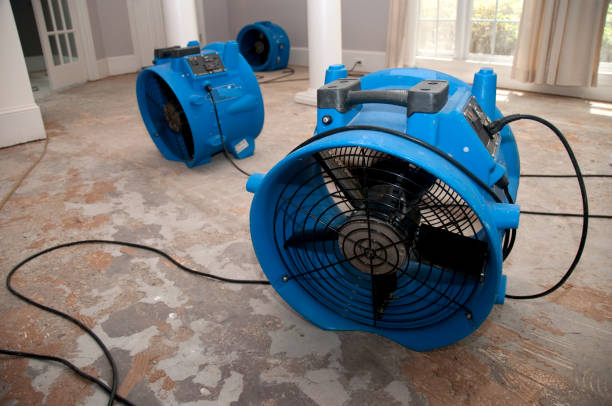 Best Commercial water damage restoration  in Alpine, CA