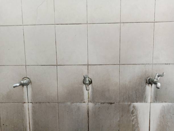  Alpine, CA Water damage restoration Pros