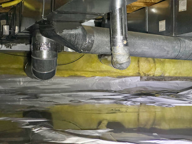 Best Local water damage restoration  in Alpine, CA