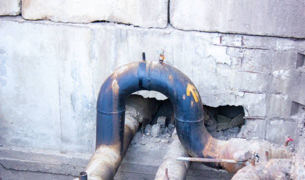 Best Professional water damage repair  in Alpine, CA