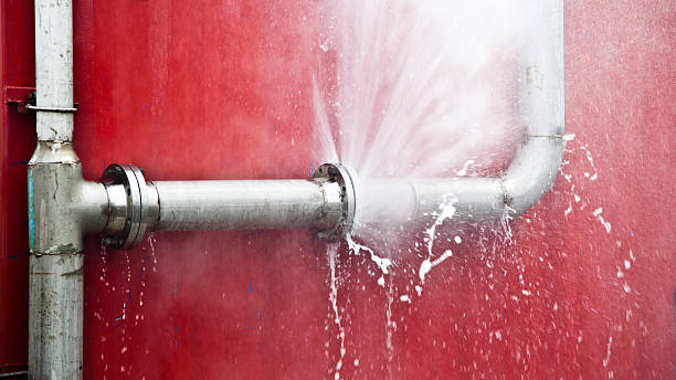 Best Flood damage cleanup  in Alpine, CA